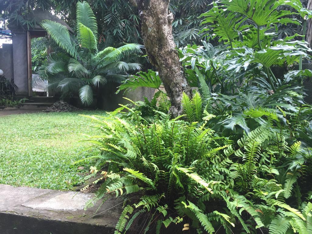 Kiyan Teges Ubud酒店 外观 照片